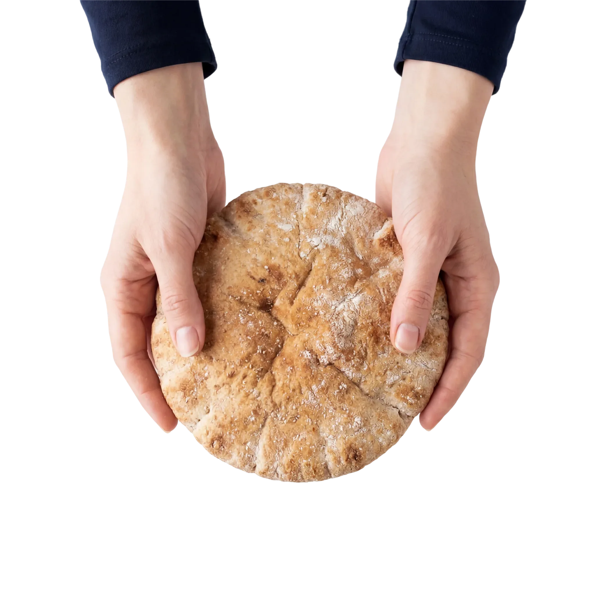 Hands holding a round loaf of pita bread against a white background